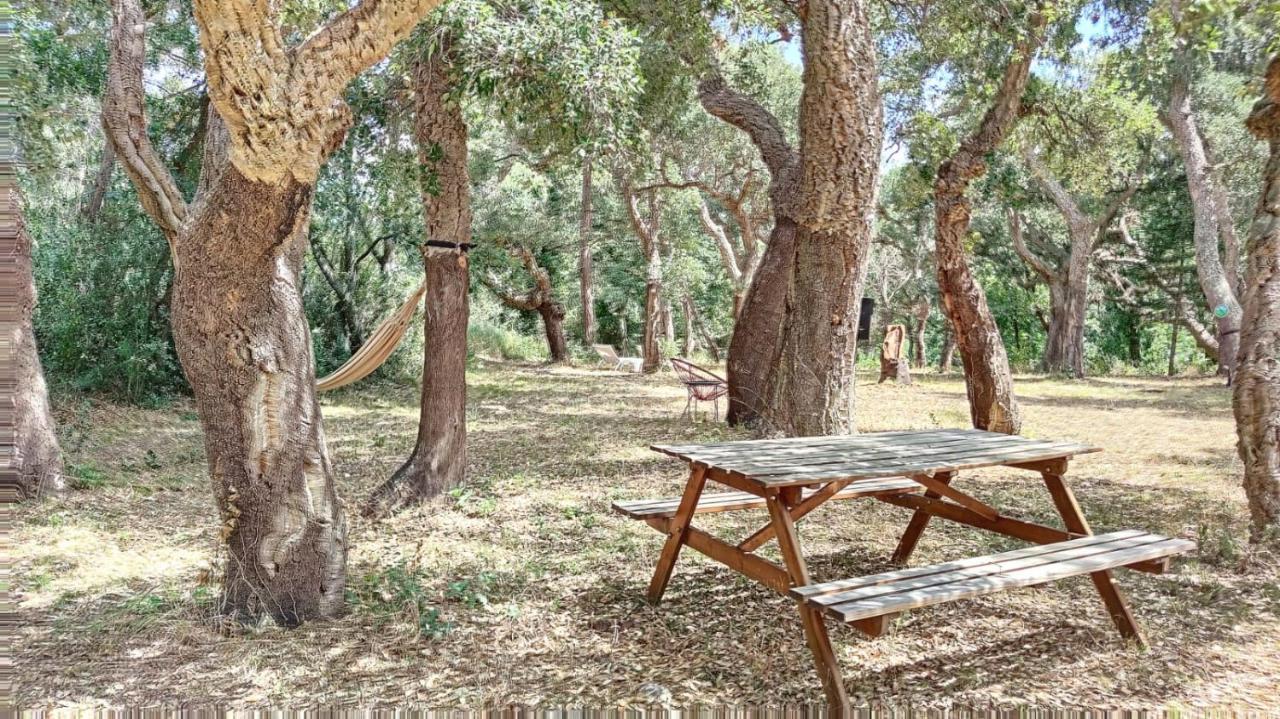 דירות ארגלס-סור-מר Les Pierres De La Massane - Vue Sur Les Alberes מראה חיצוני תמונה